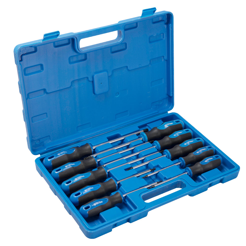 10pc torx screwdriver set